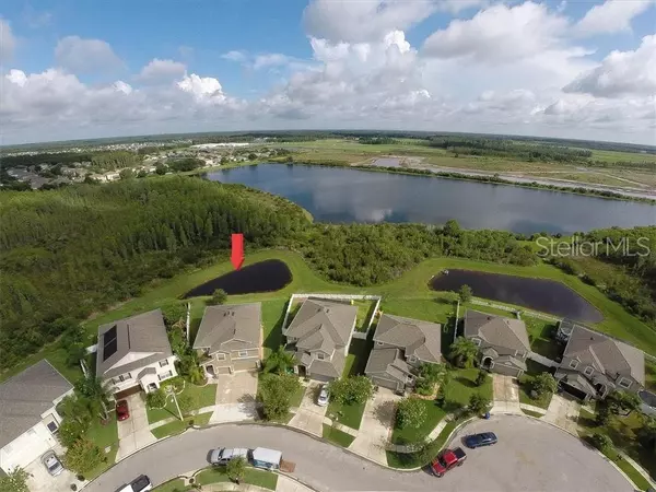 3827 MORGONS CASTLE CT, Land O Lakes, FL 34638