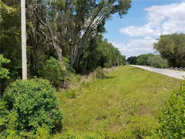 MONDON HILL RD, Brooksville, FL 34601