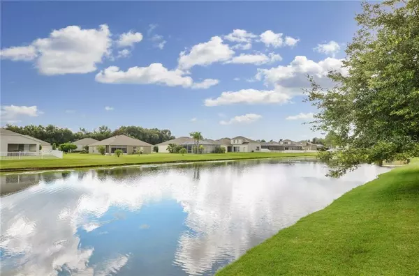 Land O Lakes, FL 34638,5120 ALDERBROOK PL