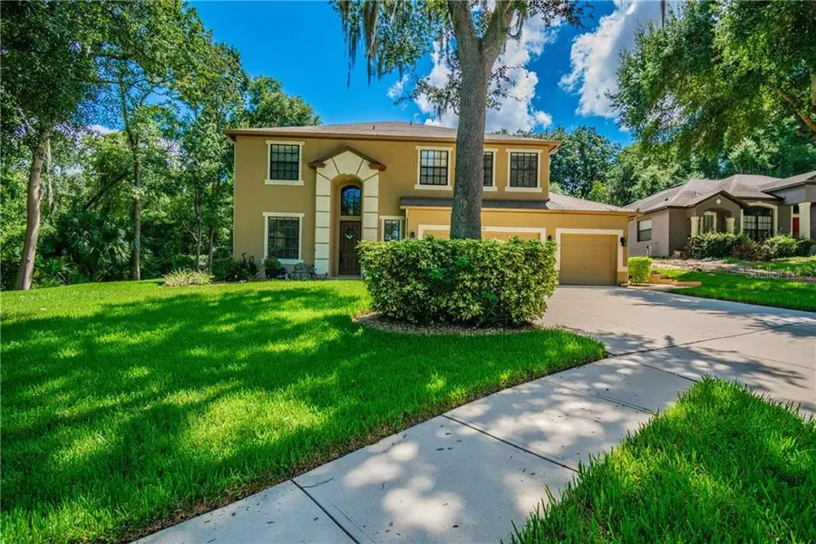 8828 ALAFIA COVE DR, Riverview, FL 33569