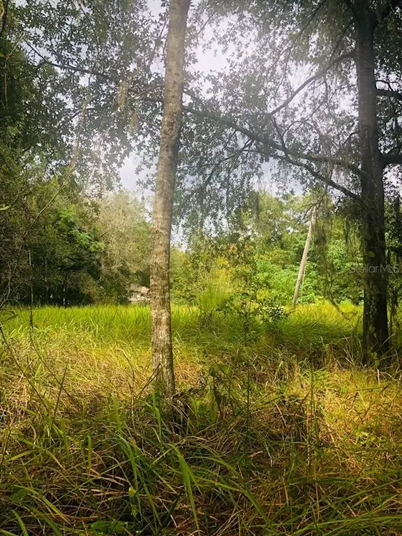 Hudson, FL 34669,Lot 7 Block 5 WOODROW LN