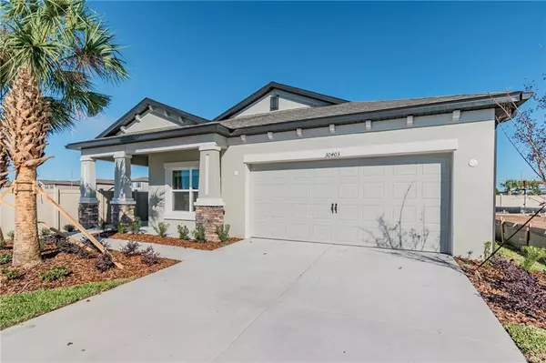 Wesley Chapel, FL 33543,30403 CARAVELLE CT