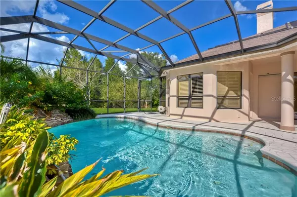 Land O Lakes, FL 34638,3123 OLIVIA CT