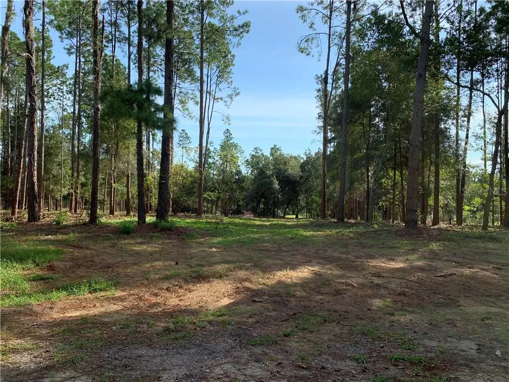 Seffner, FL 33584,6907 PEYTON DR
