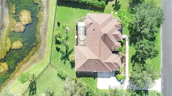 Lutz, FL 33549,19921 DOLORES ANN CT