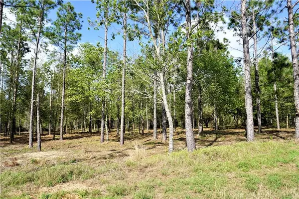 Zephyrhills, FL 33540,0 RICHLAND RD #Lot 21