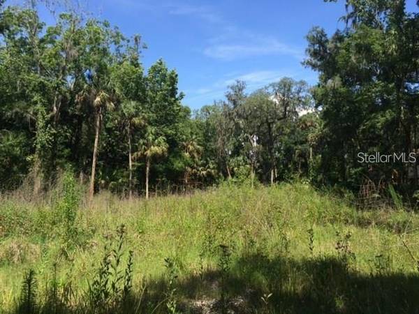 RIVER DR,  Valrico,  FL 33596