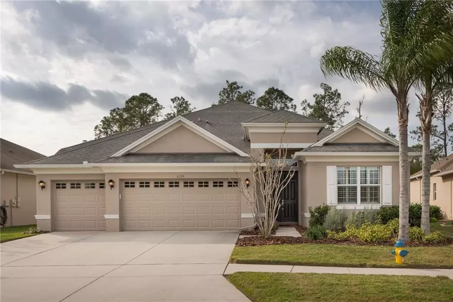 3235 DIAMOND FALLS CIR, Land O Lakes, FL 34638