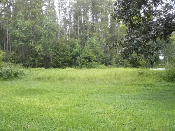 Lutz, FL 33549,915 LAKE BROOKER CT