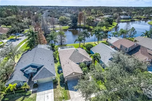 10439 LIGHTNER BRIDGE DR, Tampa, FL 33626