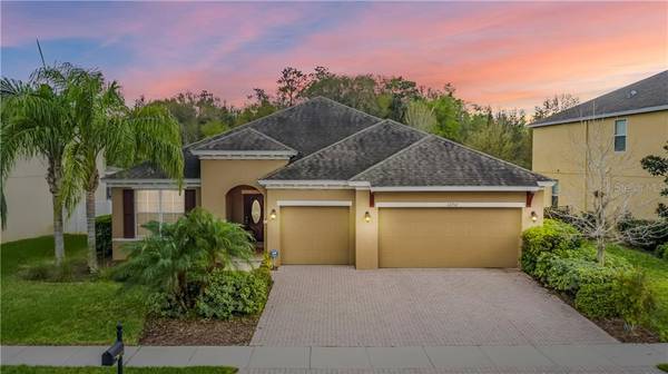 22702 CHEROKEE ROSE PL, Land O Lakes, FL 34639