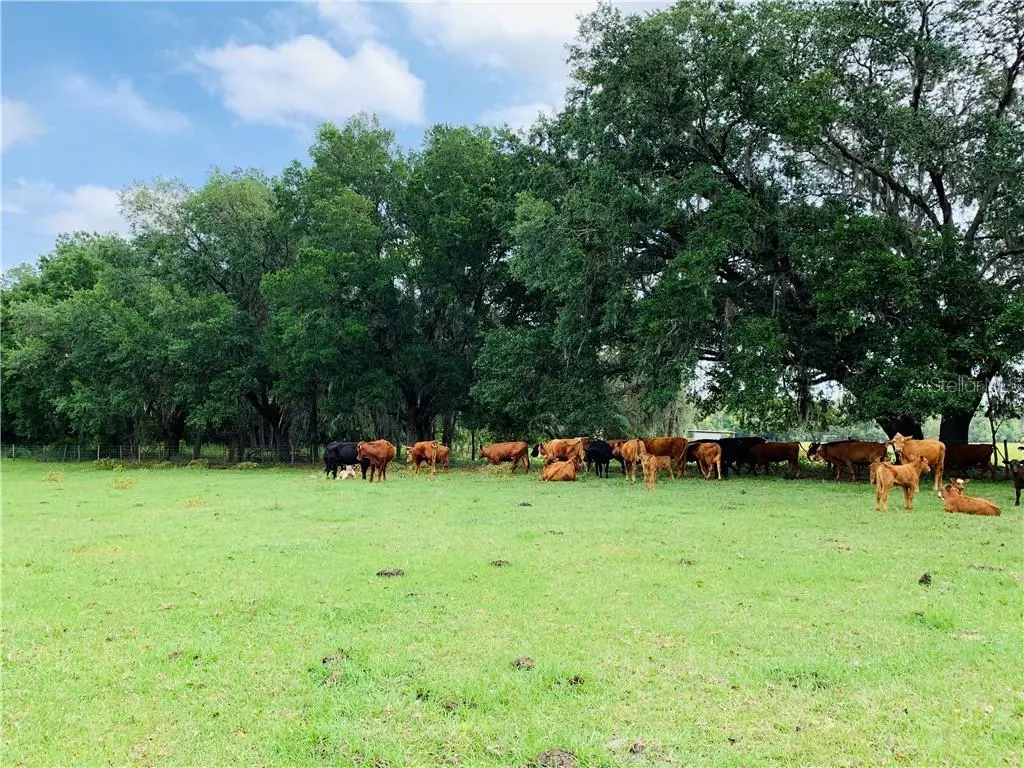 Webster, FL 33597,0 CR 739
