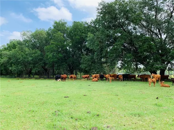 0 CR 739, Webster, FL 33597