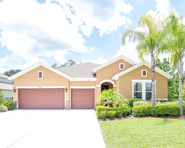 1041 TRACEY ANN LOOP, Seffner, FL 33584