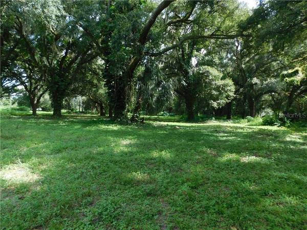 8704 CAREY RD, Lithia, FL 33547