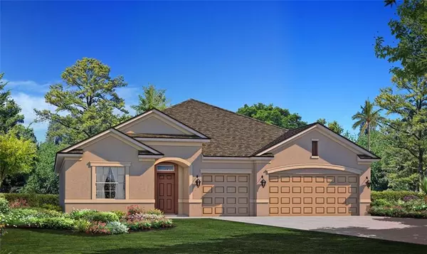 13414 LAKEVIEW OAKS LANE DR, Riverview, FL 33579