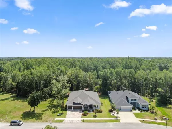 Land O Lakes, FL 34639,4006 COVE LAKE PL