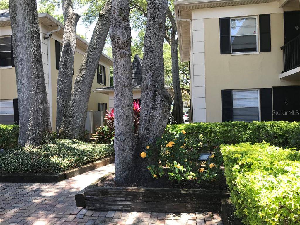 5221 BAYSHORE BLVD #19, Tampa, FL 33611