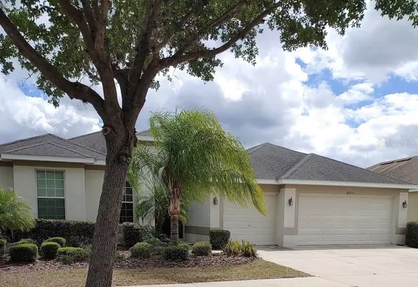 10753 ROCKLEDGE VIEW DR, Riverview, FL 33579