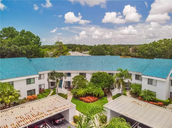3556 INDIGO POND DR, Palm Harbor, FL 34685