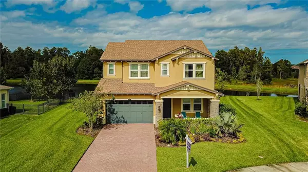 Wesley Chapel, FL 33543,4183 CANINO CT