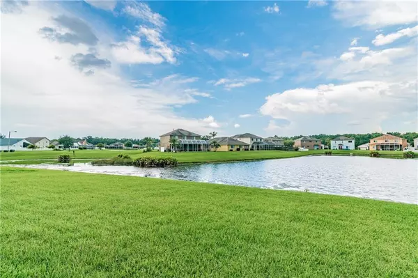 Land O Lakes, FL 34639,25448 GEDDY DR