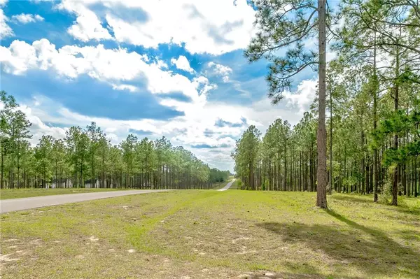 Dade City, FL 33523,LOT 61 PONY POND RD