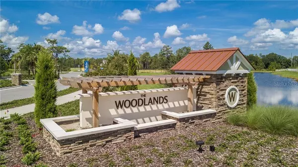 New Port Richey, FL 34655,4227 WOODLAND RETREAT BLVD