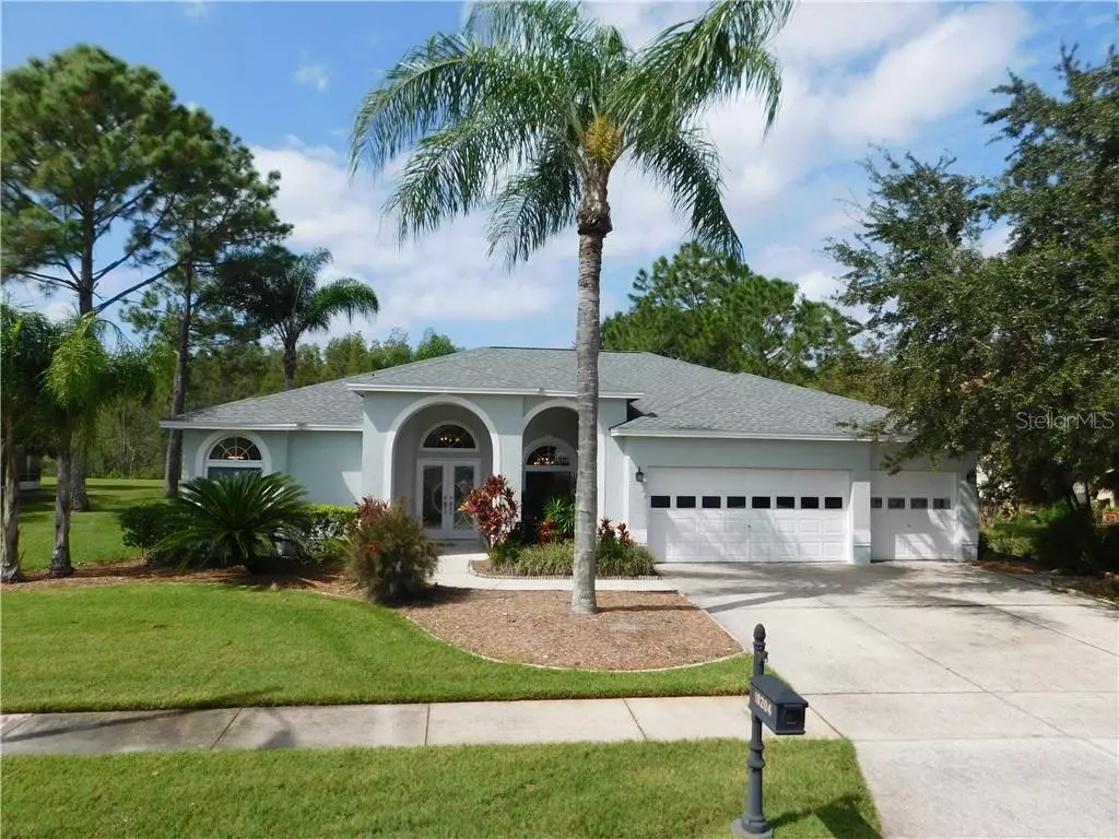 Lutz, FL 33558,18204 BITTERN AVE