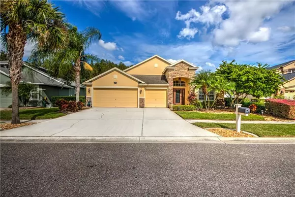 Odessa, FL 33556,16301 NIKKI LN