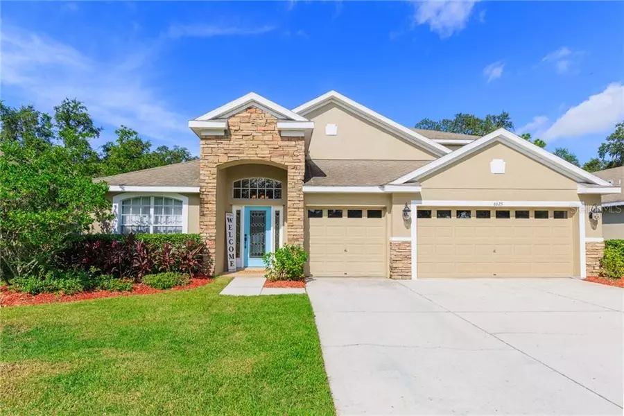 6625 BLUFF MEADOW CT, Wesley Chapel, FL 33544