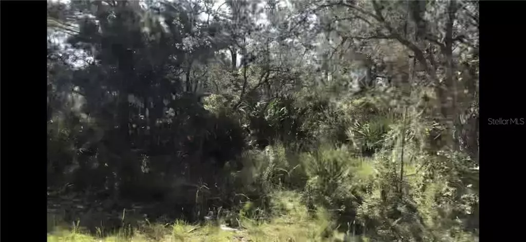 3212 OLEANDER DR, Lake Placid, FL 33852