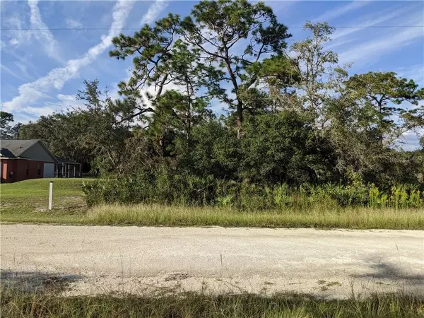 Webster, FL 33597,PRIMROSE LN