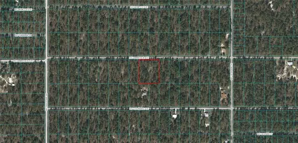 Dunnellon, FL 34431,NW AMBERJACK AVE