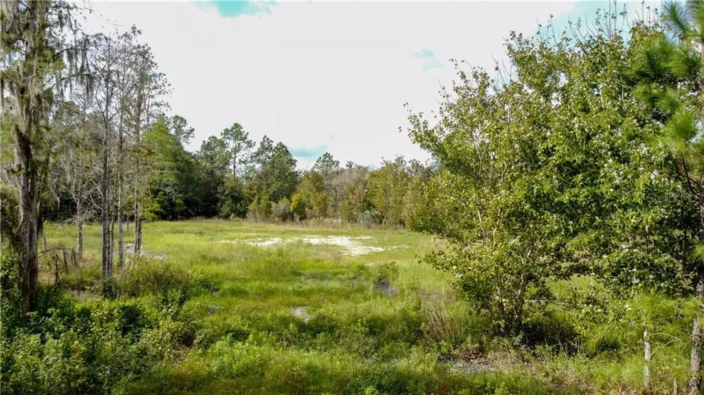 Polk City, FL 33868,BACKLAND PATH RD