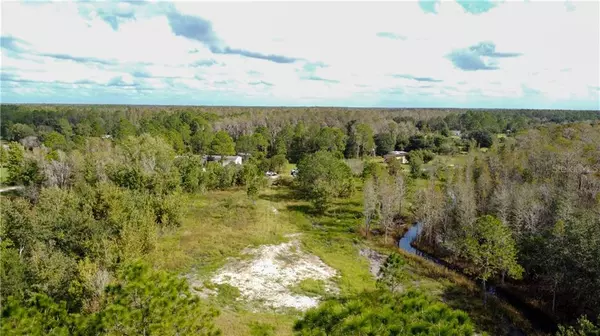 Polk City, FL 33868,BACKLAND PATH RD