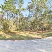 Homosassa, FL 34446,9 TWINBERRY CT