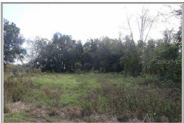 KNOTGRASS, Dade City, FL 33525