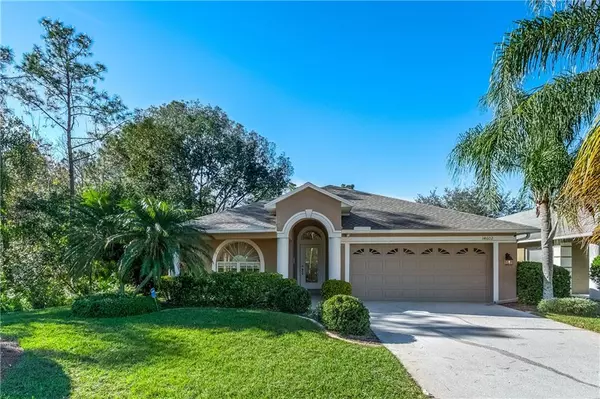 14602 CORKWOOD DR, Tampa, FL 33626