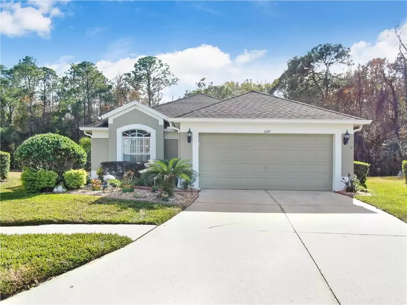 5147 GATO DEL SOL CIR, Wesley Chapel, FL 33544