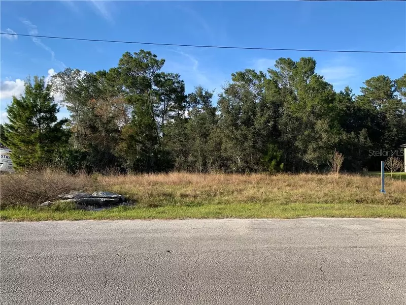 243 ELM CT, Poinciana, FL 34759