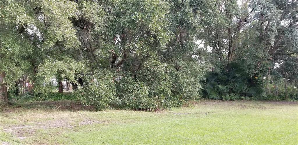 14209 SHADY STREAM DR, Dover, FL 33527
