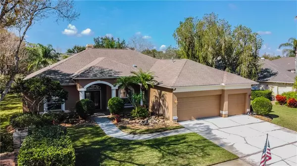 Wesley Chapel, FL 33543,1335 DISTANT OAKS DR