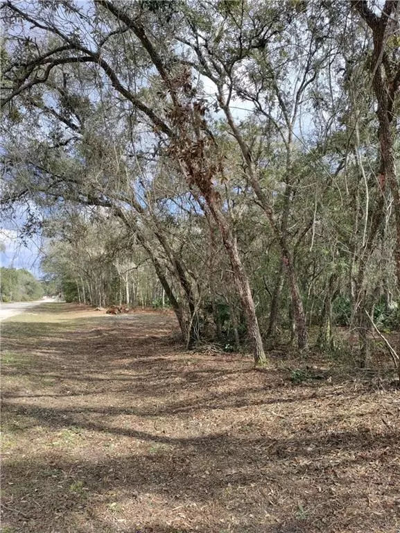 Webster, FL 33597,8189 SHELLSTREAM DR