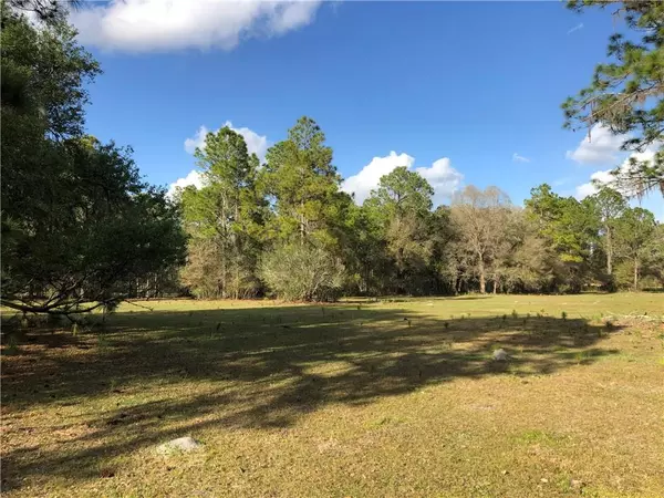 Crystal Springs, FL 33524,CRYSTAL SPRINGS RD