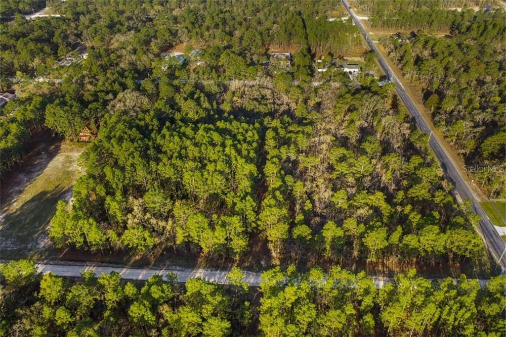 16209 MALDEN RD, Weeki Wachee, FL 34614