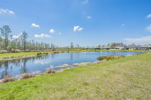 Land O Lakes, FL 34637,21848 CREST MEADOW DR