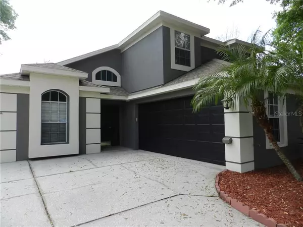 Land O Lakes, FL 34639,24136 PAINTER DR