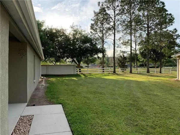 Wesley Chapel, FL 33543,1335 AMBRIDGE DR