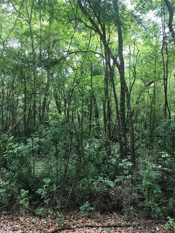 SW 83RD PL, Bushnell, FL 33513